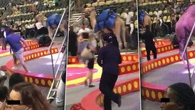 Panika v cirkuse: Splašený velbloud zranil šest dětí!