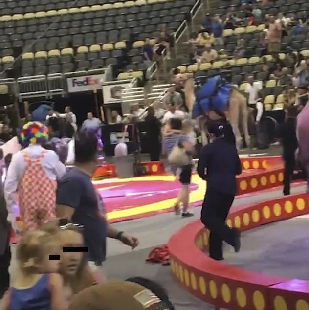 Panika v cirkuse: Během přestávky se splašil velbloud a zranil šest dětí!