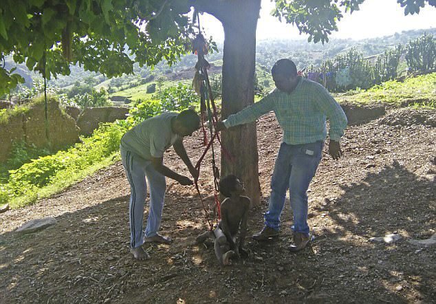 Jiva Ram byl připoután ke stromu.
