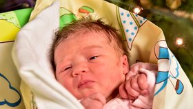 Eliška se narodila jako první pražské dítě roku 2018 dvě minuty po půlnoci v Motole