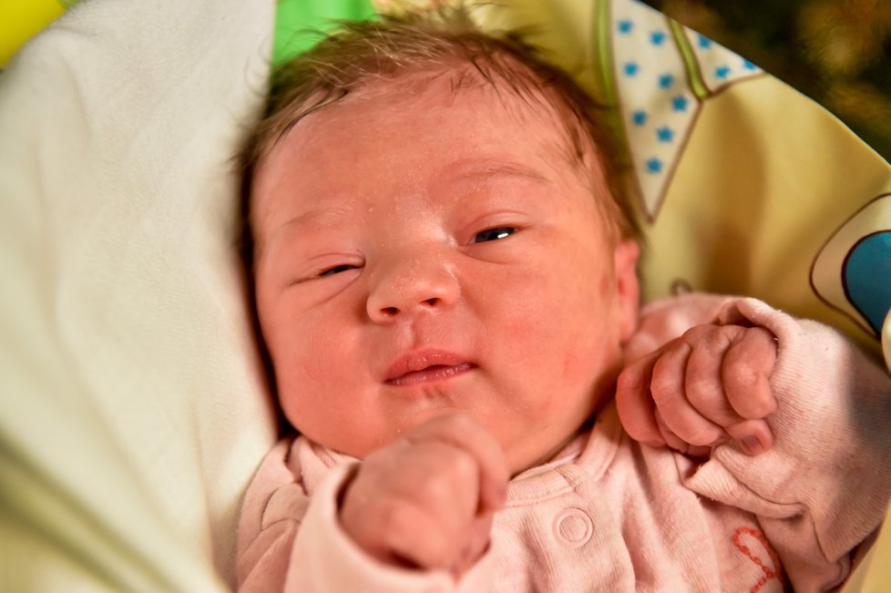 Eliška se narodila jako první pražské dítě roku 2018 dvě minuty po půlnoci v Motole