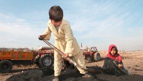 K těžkým pracím jsou nuceny miliony dětí po celém světě. Stále se jedná o závažný problém