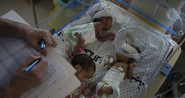 Z Pásma Gazy evakuovali 28 předčasně narozených dětí do Egypta. Čtyři miminka zemřela