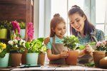 Jak vybrat nejvhodnější rostliny pro malé zahradníky