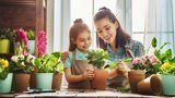 Jaké pokojovky pořídit dětem, když je zahradničení baví? 