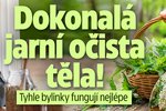 Jarní očista těla: Tyhle bylinky zafungují nejlépe