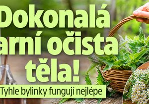 Dokonalá jarní očista těla: Tyhle bylinky fungují nejlépe!