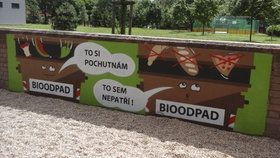 Dětská hřiště v Praze 8 zdobí nové ekologické ilustrace.