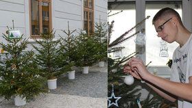 Děti z dětského domova ve Vřesovicích dostali od lesníků vánoční stromky.