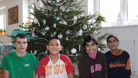 Děti z dětského domova ve Vřesovicích dostali od lesníků vánoční stromky.