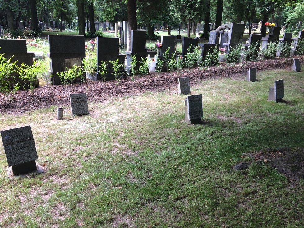 Dětský hřbitov v Ďáblicích, který dlouhá desetiletí čeká na podrobnější průzkum odborníků.