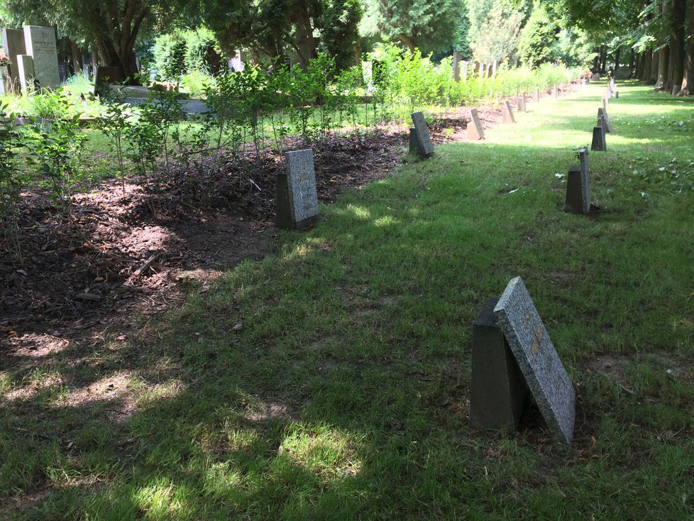 Dětský hřbitov v Ďáblicích, který dlouhá desetiletí čeká na podrobnější průzkum odborníků.