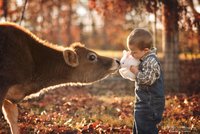 Tomu říkáme idyla! Otec fotí dětství tří sourozenců na farmě