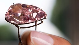 Diamant Unique Pink (Jedinečný růžový) o váze 15,38 karátu se v Ženevě vydražil za 750 milionů Kč.