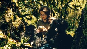 Dian Fosseyová se zasadila o záchranu goril horských.