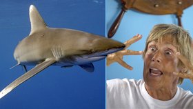 Žraloků se nebála: Žena (64) přeplavala jako první z Kuby na Floridu bez klece!