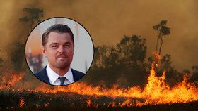 Hlava Brazílie tvrdí, že DiCaprio přispívá k požárům v Amazonii