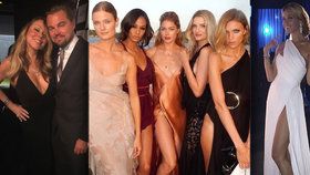 Charita podle DiCapria: Polonahé topmodelky, Petra Němcová, Mariah Carey, Bono a milionová dražba