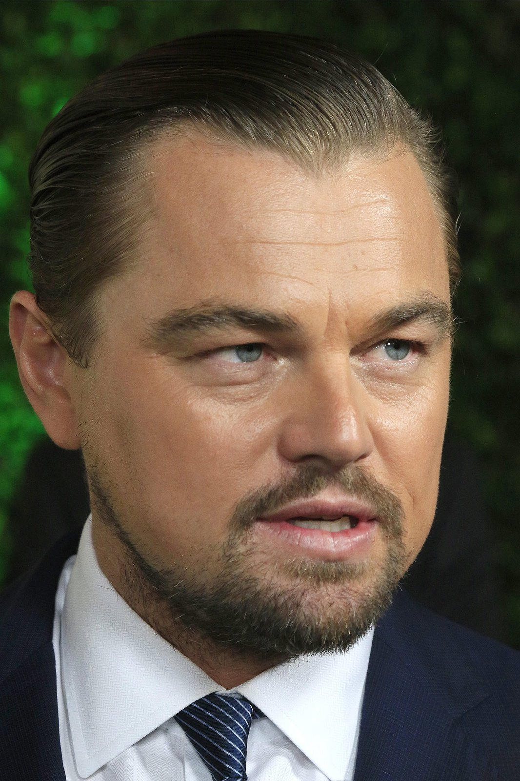 Leonardo DiCaprio