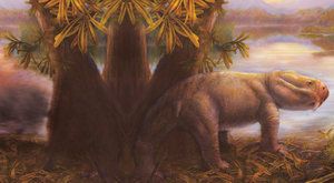 Pravěký fantom: Záhada afrických dicynodontů 