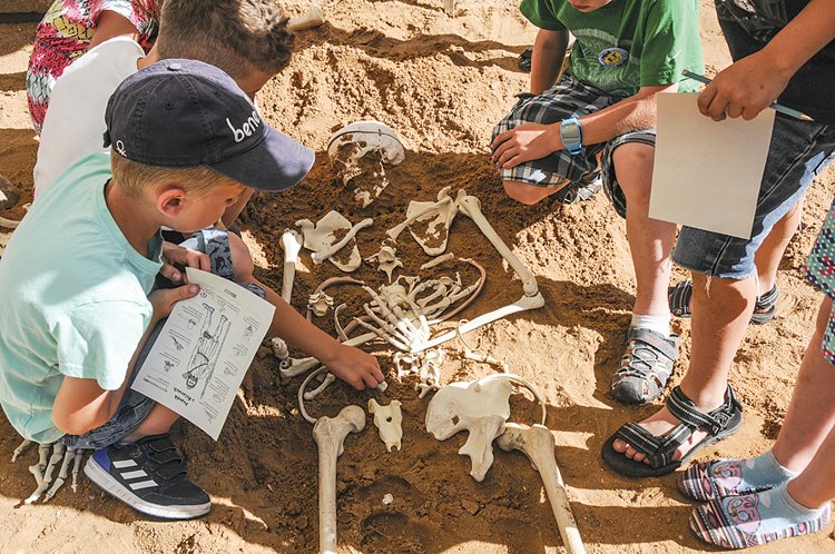 Didaktické centrum geologie: Na chvíli se stanete archeologem