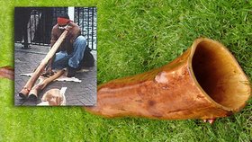 Hra na australské didgeridoo pomáhá proti chrápání