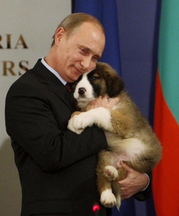 Vladimir Putin je známý milovník zvířat.