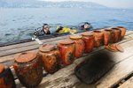 V Ženevském jezeře bylo nalezeno přes 50 uren s lidskými ostatky. Štítky na urnách ukázaly, že pocházejí ze švýcarské kliniky smrti Dignitas