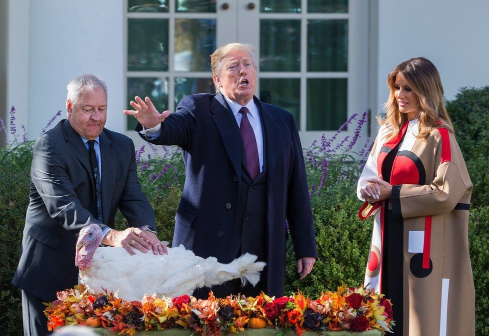 Donald Trump udělil milost krocanovi.