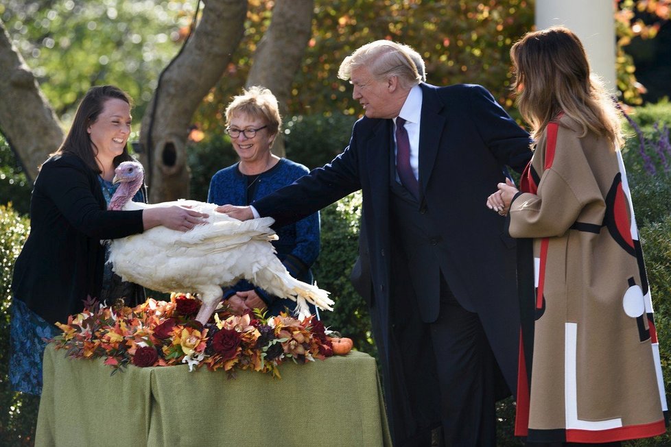 Donald Trump udělil milost krocanovi.