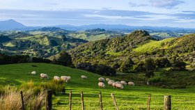 Nový Zéland podle matematika nerespektuje lidská práva, přesto na ostrov emigrují ročně tisíce lidí.