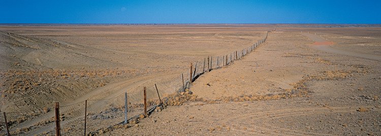 Dingo Fence je oficiálně nejdelší plot na světě