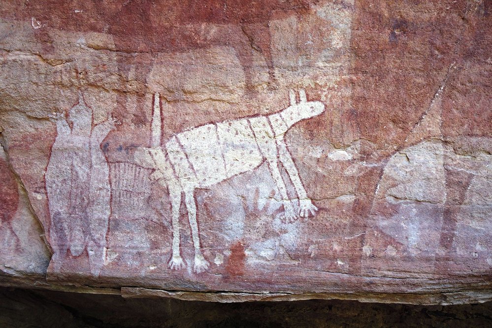 Skalní nástěnné malby zobrazují vedle jiných australských zvířat často i dingy
