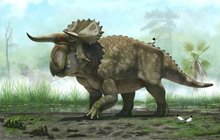 Šokující vědecký objev: Našli ďábelského dinosaura? 