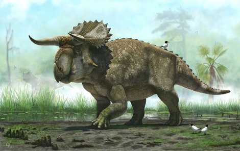 .Kvůli rohům dostal přezdívku ďábelský dinosaurus.