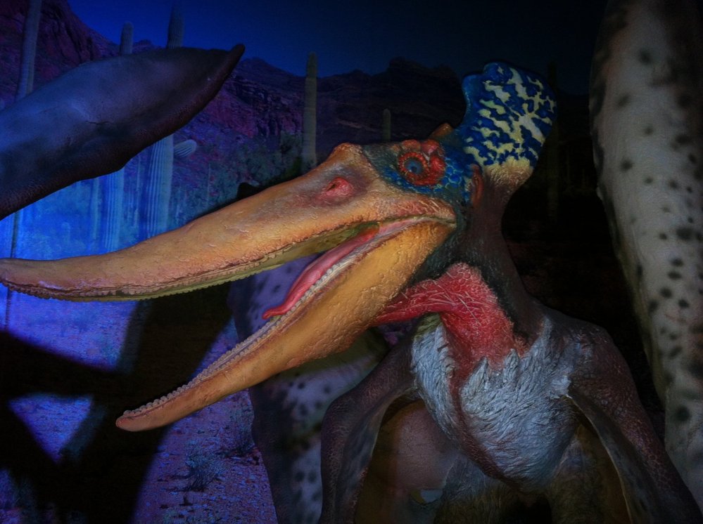 Dinosauři na turné