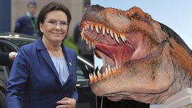 Lidé házeli po dinosaurech kameny, zuří politička. Sekla se o miliony let, směje se Polsko