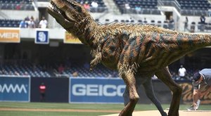První nahození: Baseball může hrát i dinosaurus 