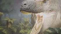 Měl tyrannosaurus peří? V Praze ožili dinosauři v novém muzeu i díky novým technologiím