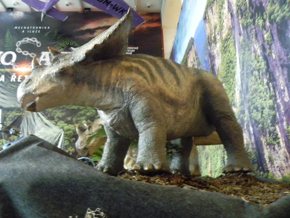 Na výstavě je k vidění 60 robotických a statických modelů pravěkých dinosaurů v životní velikosti.