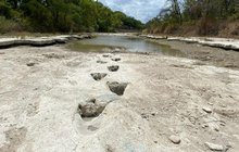 Vyschlá řeka vydala tajemství: Stopy tříprstého dinosaura!