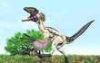 Peří bylo na okrasu, aby se samci předvedli, samozřejmě se rády vystavovaly i samice. Deinonychus uměl měnit barvy i horní části lebky, rudl podobně jako krocan.