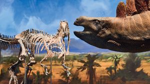 Nové kusy v Dinosaurii: Vládci druhohor zamířili do Česka