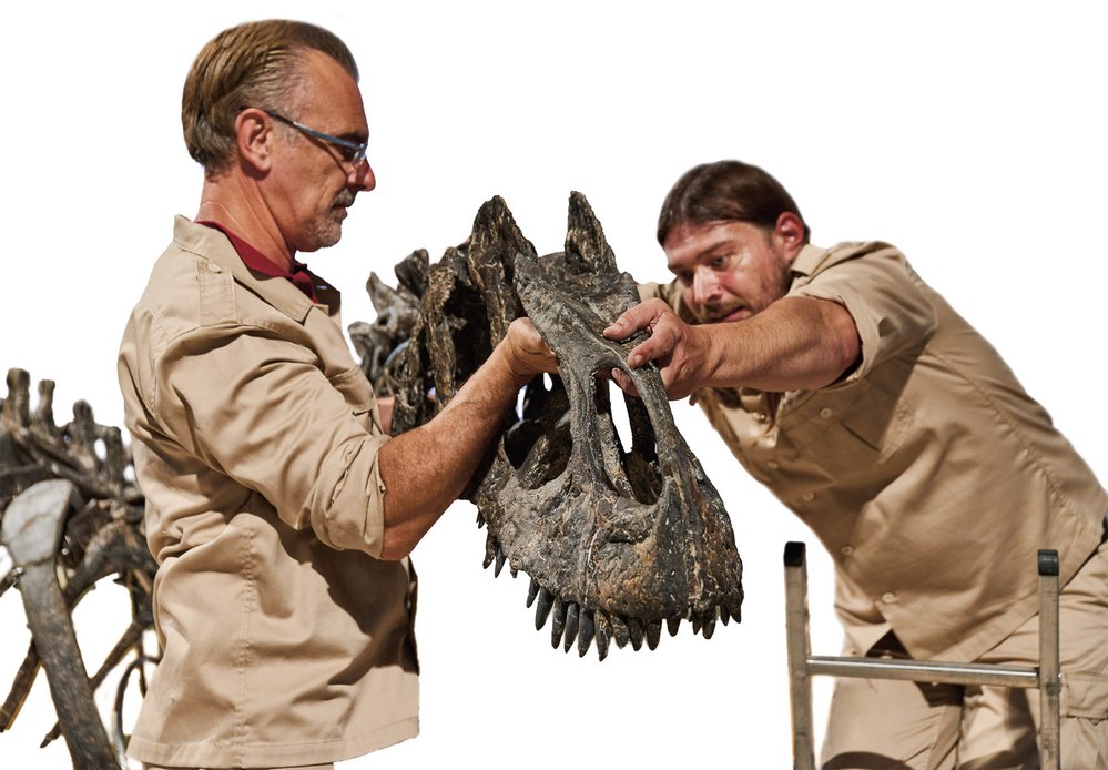 Kostry dinosaurů instalují certifikovaní odborníci