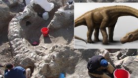 Našli kosti nového druhu dinosaura: Vážil jako 12 slonů a víc než boeing!