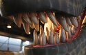 Jurský park ve skutečnosti: Raptoři, kteří pobíhají po japonském Dino-A-Live vypadají jako živí