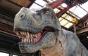 Jurský park ve skutečnosti: Raptoři, kteří pobíhají po japonském Dino-A-Live vypadají jako živí