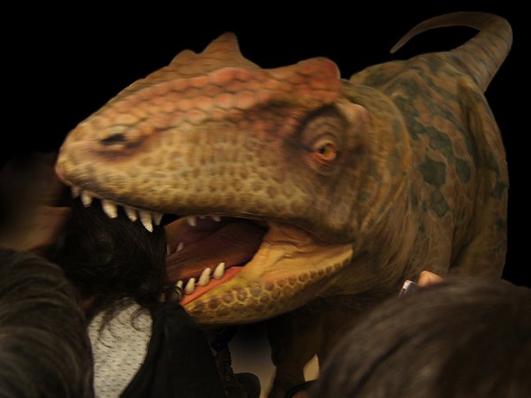 Jurský park ve skutečnosti: Raptoři, kteří pobíhají po japonském Dino-A-Live vypadají jako živí