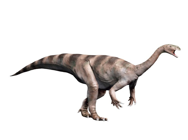 Z pohřebišť známe i evropské plateosaury