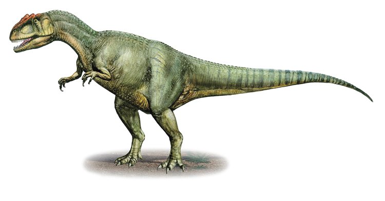 Co se dá najít na hromadných hřbitovech dinosaurů